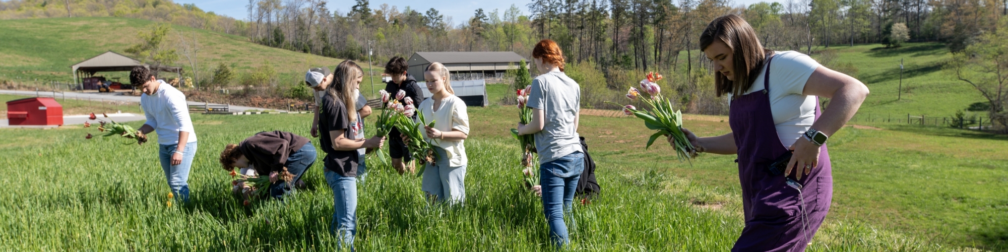 Students walk in a field. 