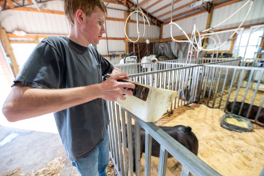 A high school student cares for an animal.