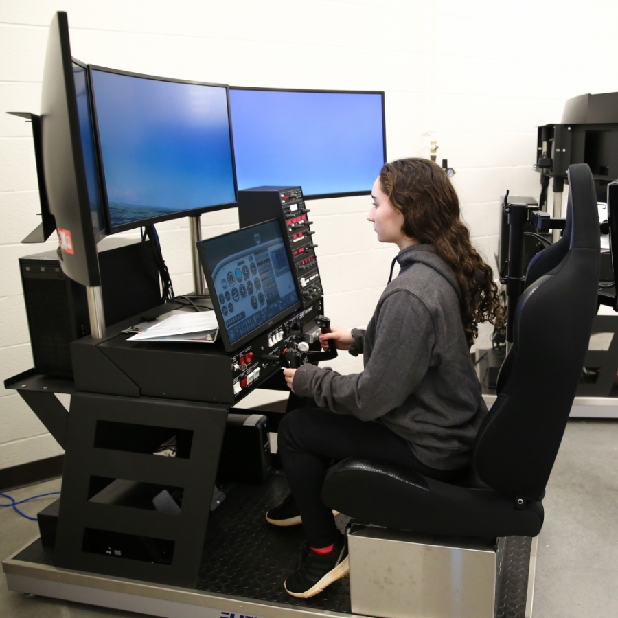 Flight simulator